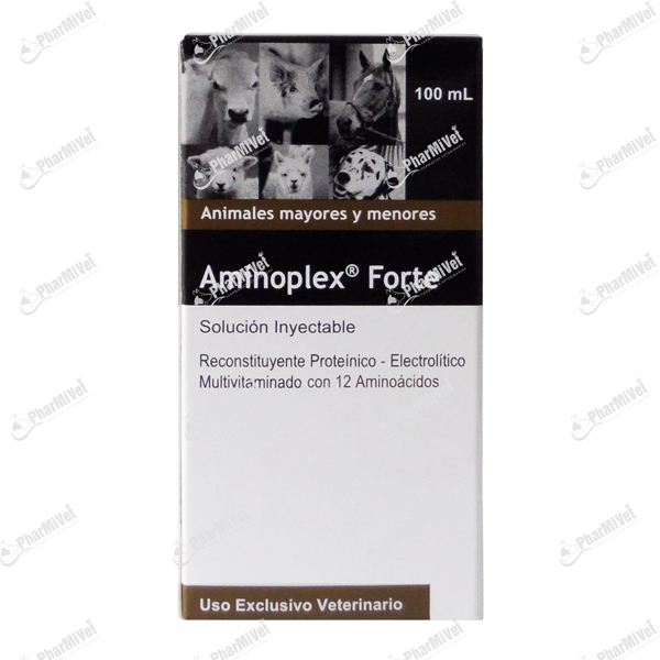 AMINOPLEX FORTE X 100 ML