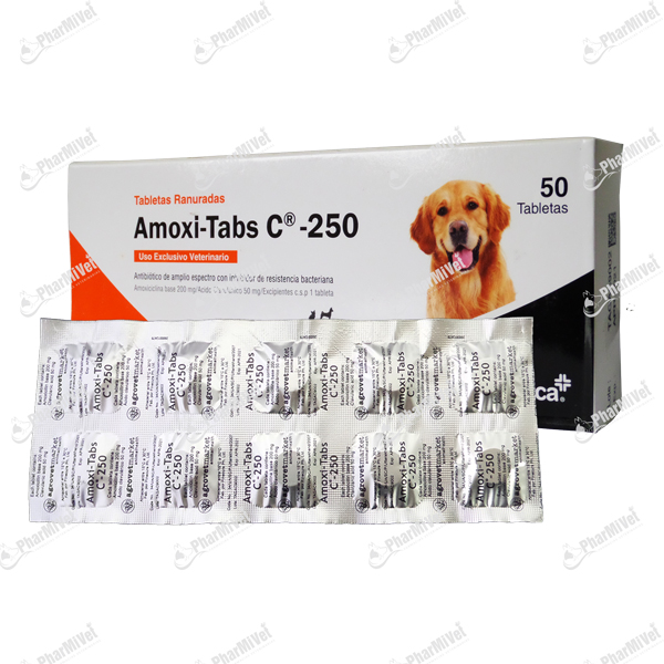 AMOXI TABS C 250 MG X UND