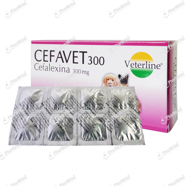 CEFAVET 300 MG X UND