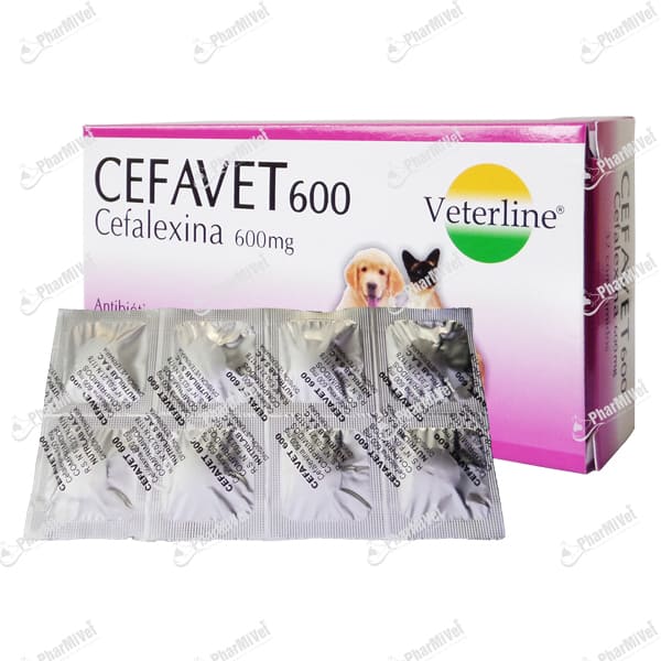 CEFAVET 600 MG X UND 