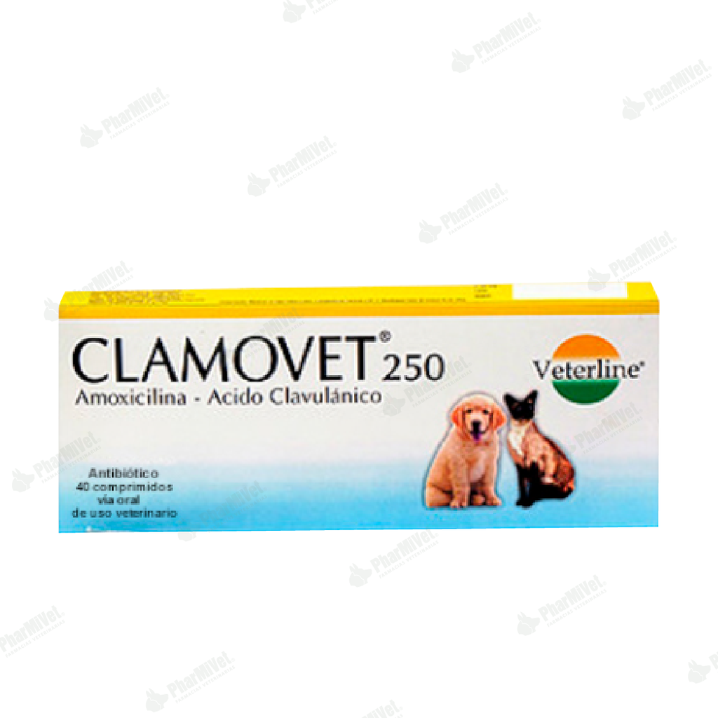 CLAMOVET 250 MG X 40 TAB