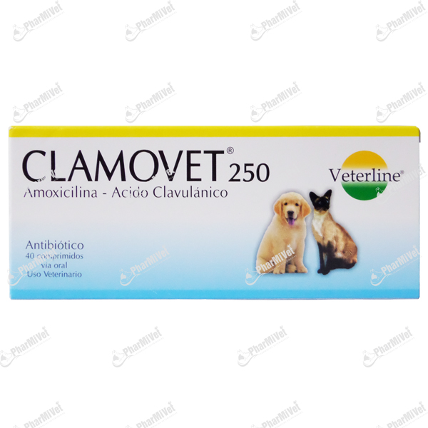 CLAMOVET 250 MG X UND