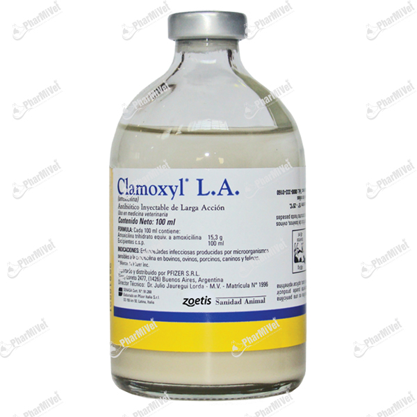 CLAMOXYL X 100 ML