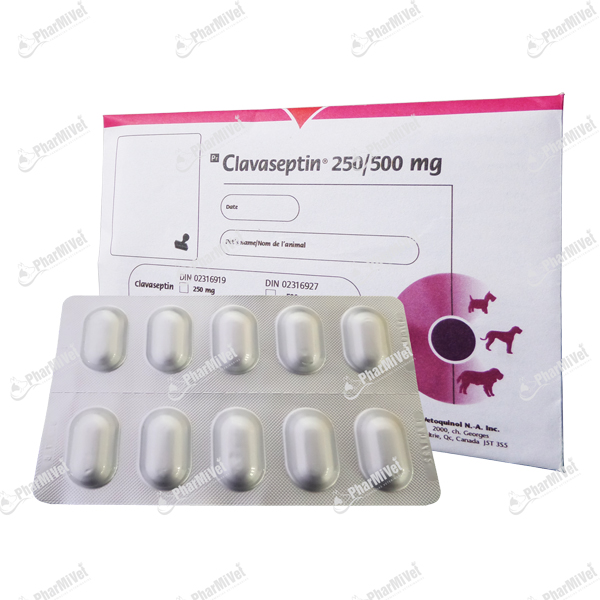 CLAVASEPTIN 500 MG X UND