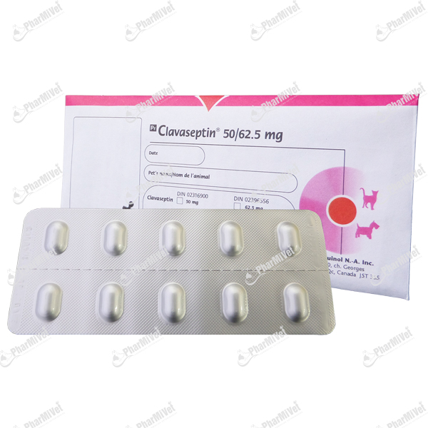 CLAVASEPTIN 50 MG X UND