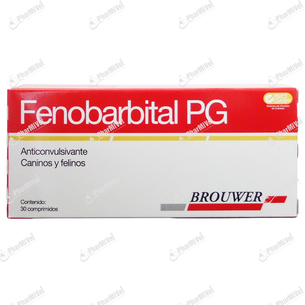 FENOBARBITAL P-G X 30 TAB