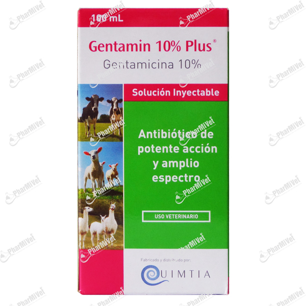 GENTAMIN 10% PLUS INY. X 100 ML