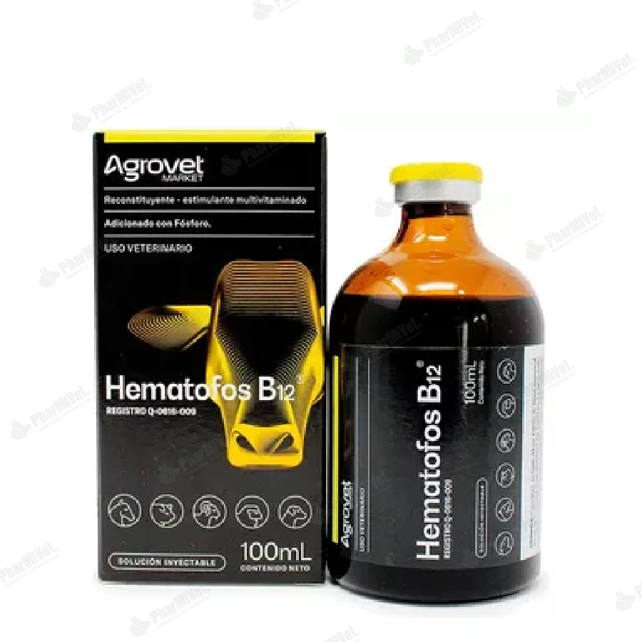 HEMATOFOS B12 X 100 ML