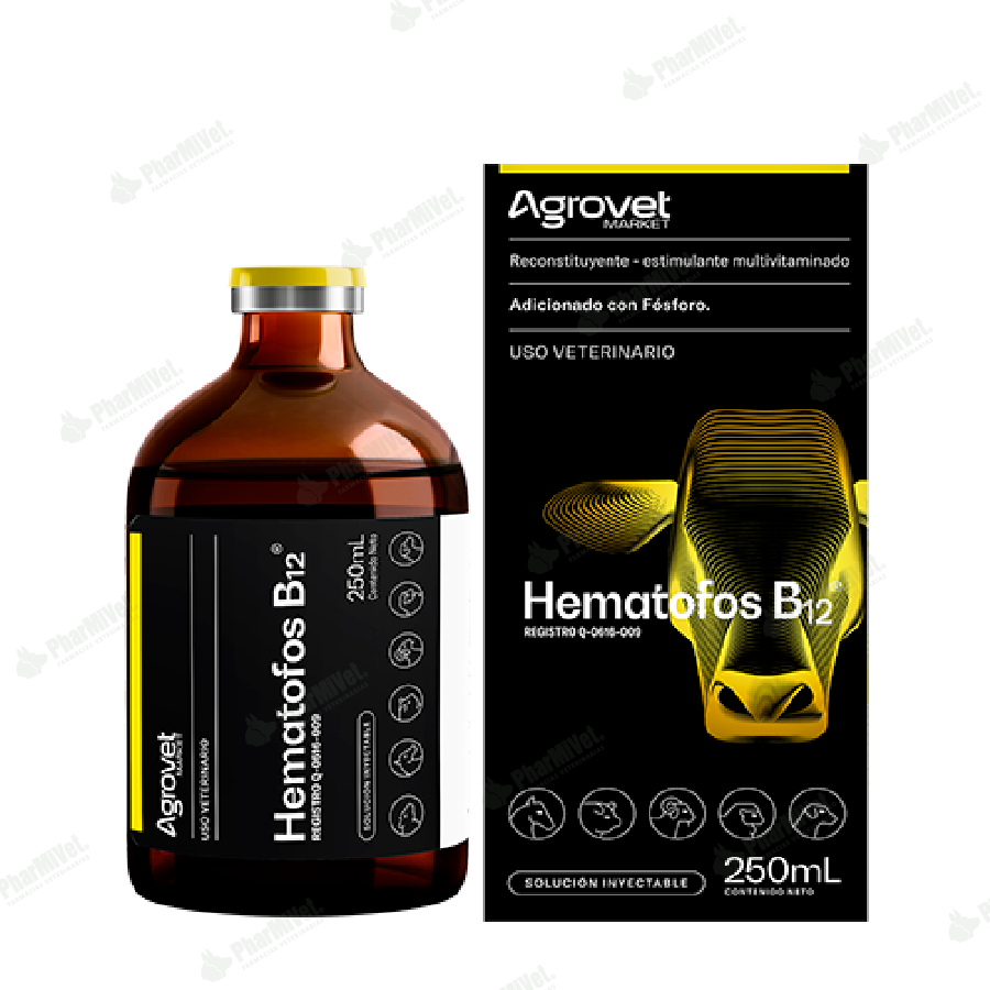 HEMATOFOS B12 X 250 ML