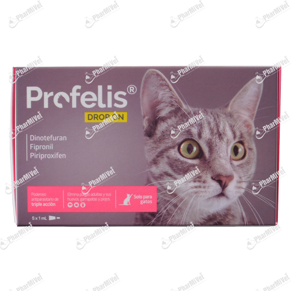 PIPETA PROFELIS DROP ON GATOS X UND