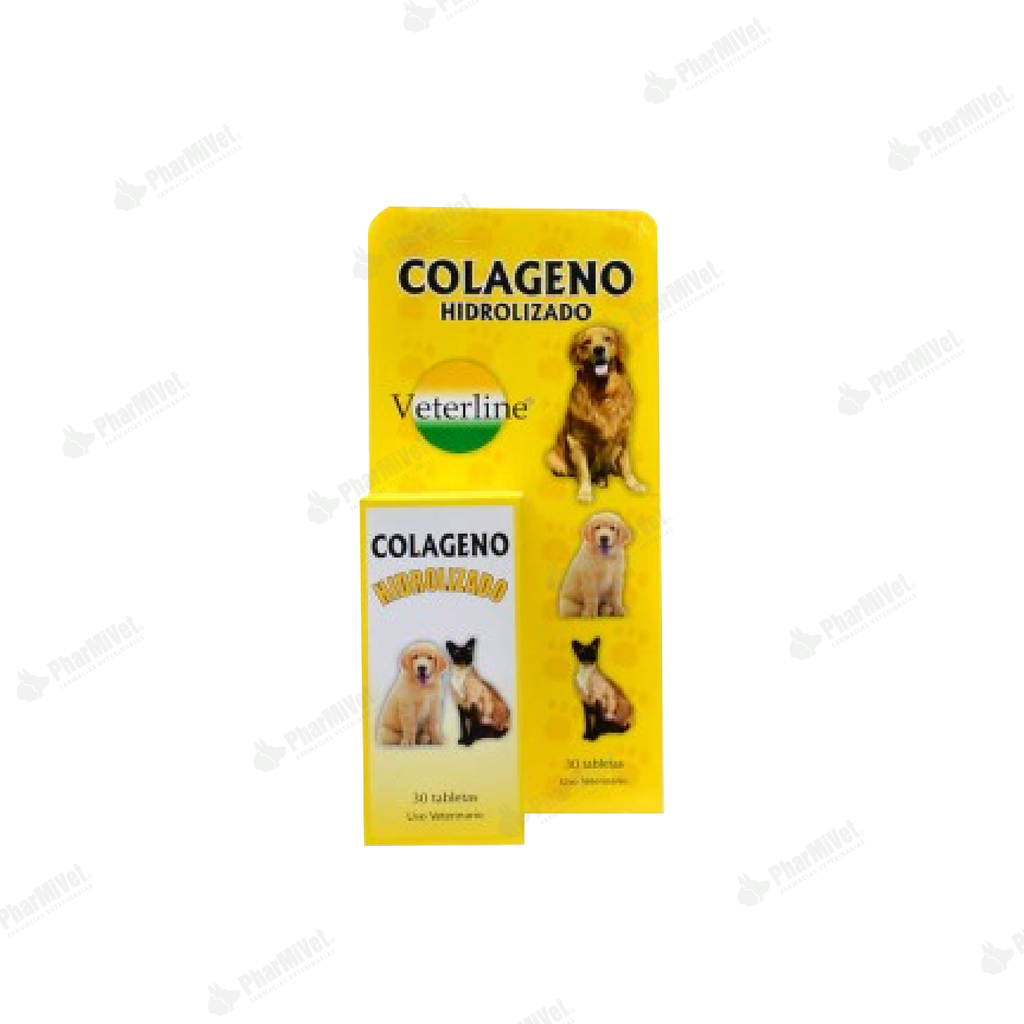 COLAGENO HIDROLIZADO X 30 TAB