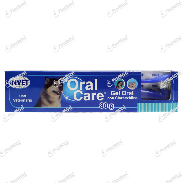 ORAL CARE GEL X 80 GR