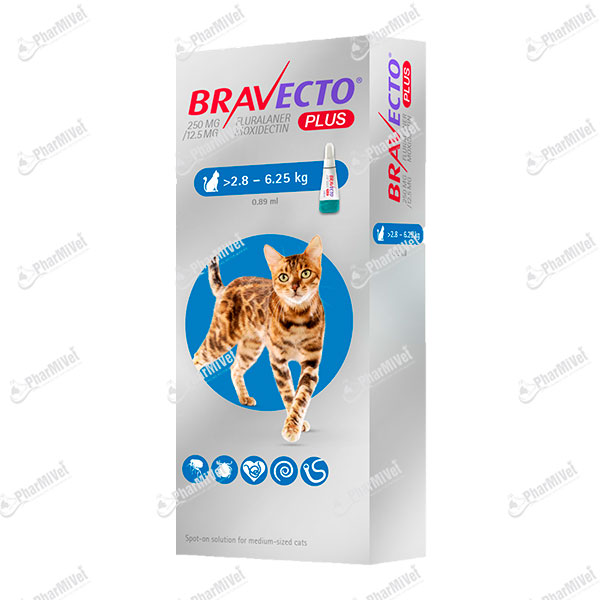 BRAVECTO PLUS CAT 250 MG (2.8 - 6.25 KG)