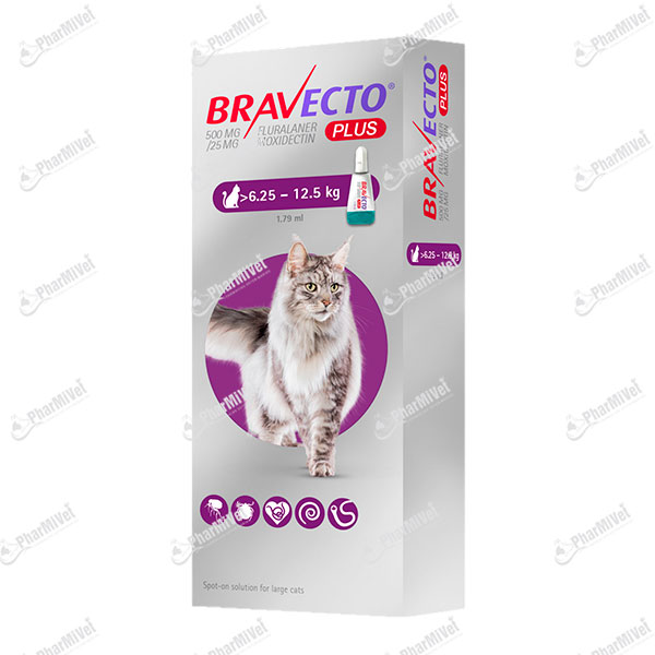 BRAVECTO PLUS CAT 500 MG (6.25 - 12.5 KG)