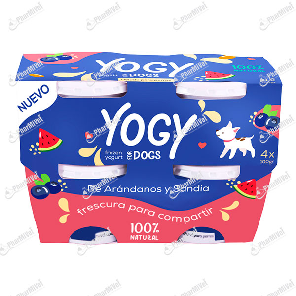 HELADO DE YOGURT YOGY ARANDANOS Y SANDIA X 4 UND (PACK)