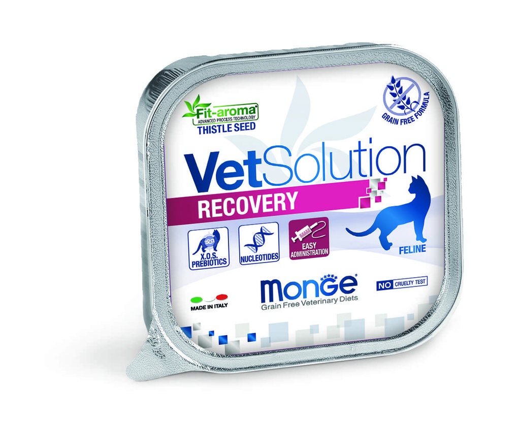 VET SOLUTION FELINE RECOVERY X 100 GR