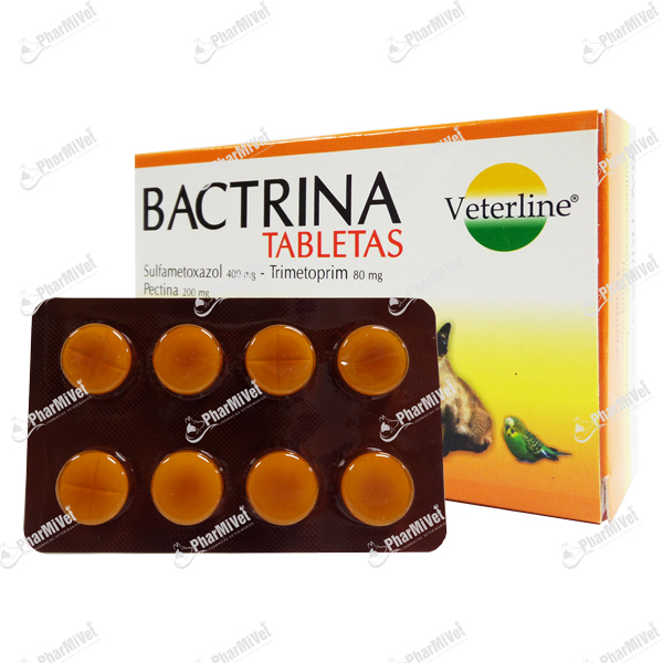 [84001030301] BACTRINA X UND